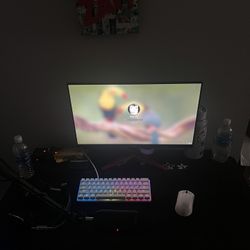 Gaming Setup