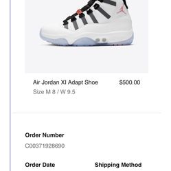 Jordan 11s Adapt 