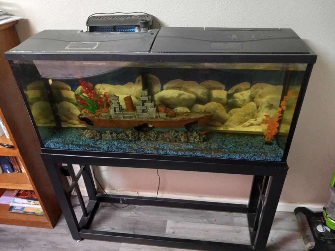 55 Gallon Aquarium  Setup