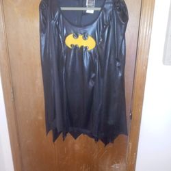 Batgirl Halloween Costume