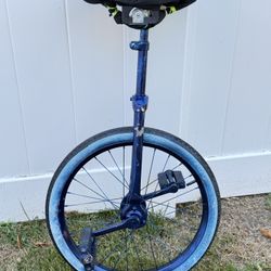Unicycle 