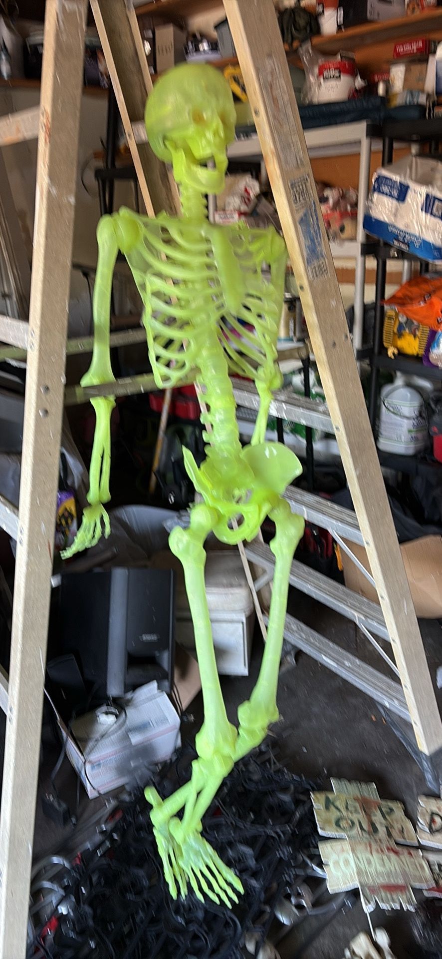 Skeleton Halloween