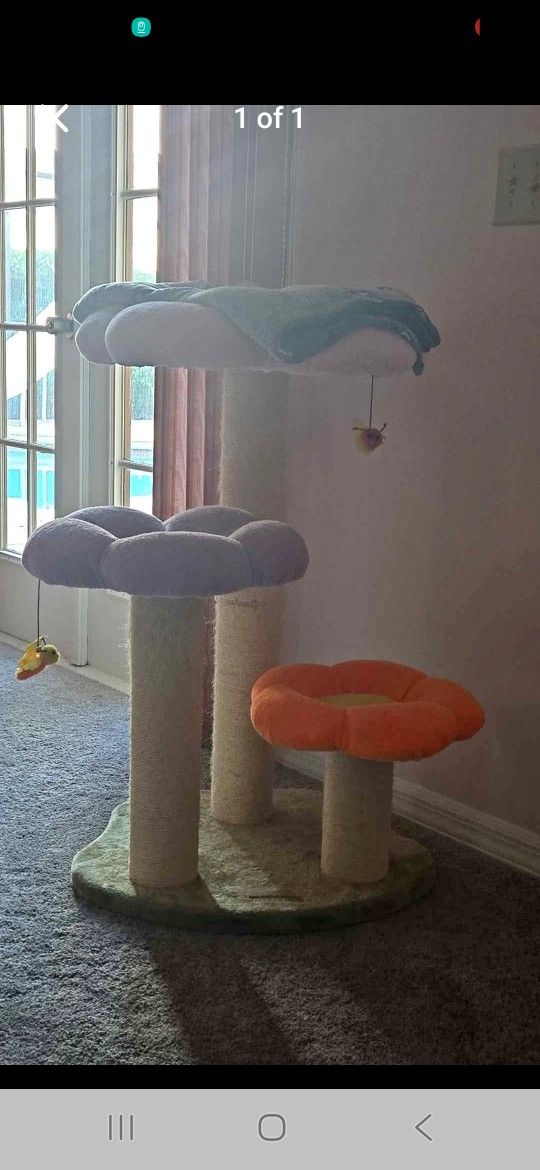 Cat Condo