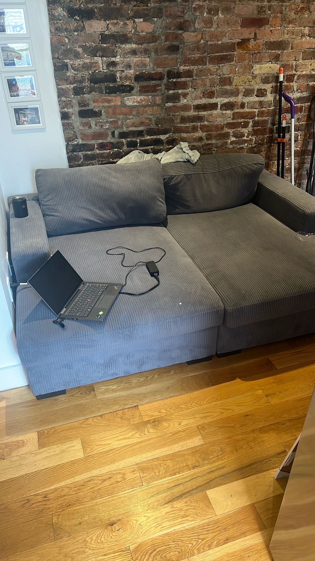 Couch (8 Months Old)