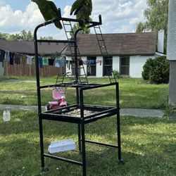 bird perch
