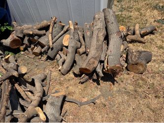 FREE WOOD