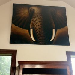 Elephant Picture 