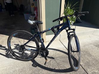 Schwinn 21 speed 3x7 ride train bike