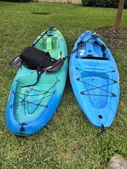 Sundolphin And Pelican 