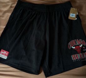 Mitchell and ness mesh bulls shorts size XXL