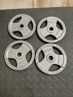 Olympic Weights 55lb