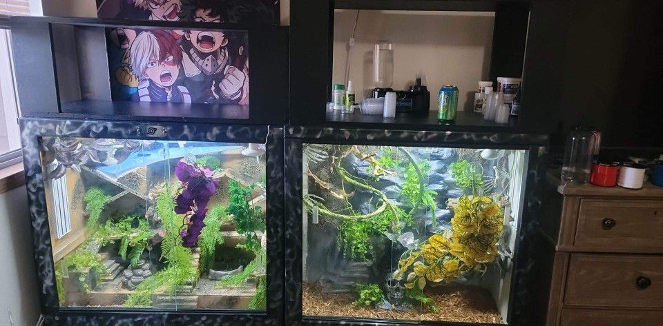 Gecko Cages