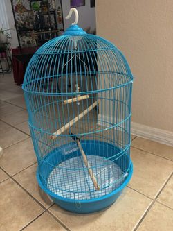 Blue Bird Cage