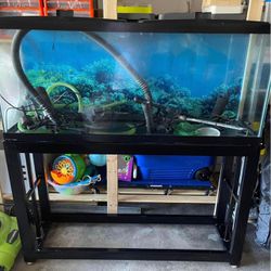 54 Gallon Fish tank With Base