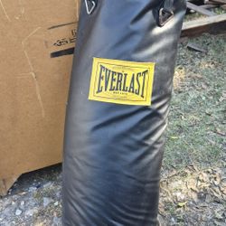 Everlast Punching Bag