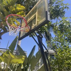 Basketball Hoop