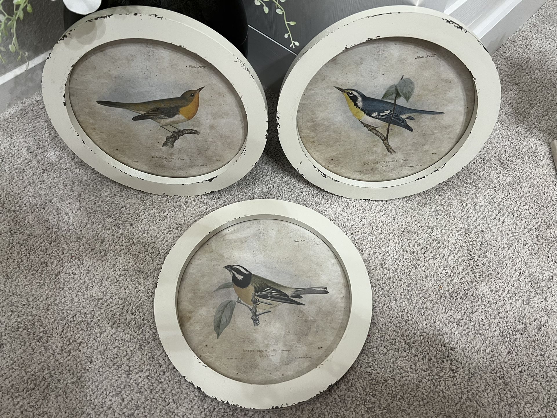 Antique Looking Art Home Decor