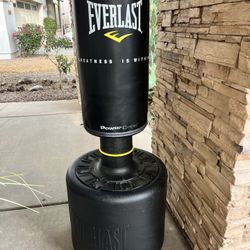 Everlast weighted training Bag 