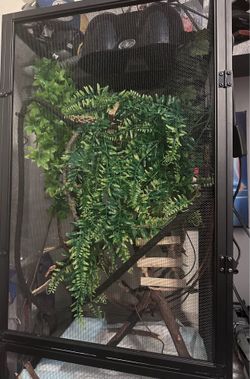 Chameleon/Reptile Enclosure