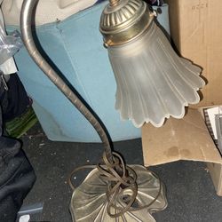 Vintage Goose Neck Lamp Watt Lilly Base