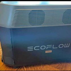 Ecoflow Pro