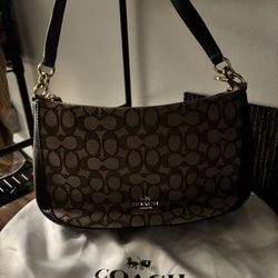 coach hobo purse 
