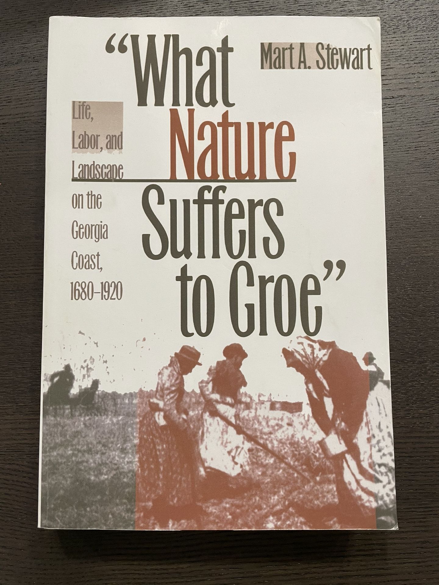 What Nature Suffers to Groe – Mart A. Stewart (Georgia Coast 1680–1920)