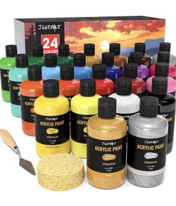 24 Colors Premium Acrylic Paint Set, 250 ml Large Bottles, Non-Toxic, Professional Craft Paint Kit