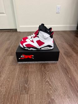 Jordan retro 6