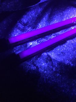 Black Light Fixtures (2ea)