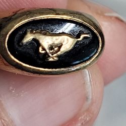 Ford Mustang Ring