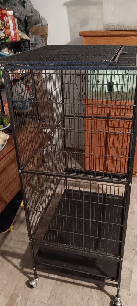 Brid Cage