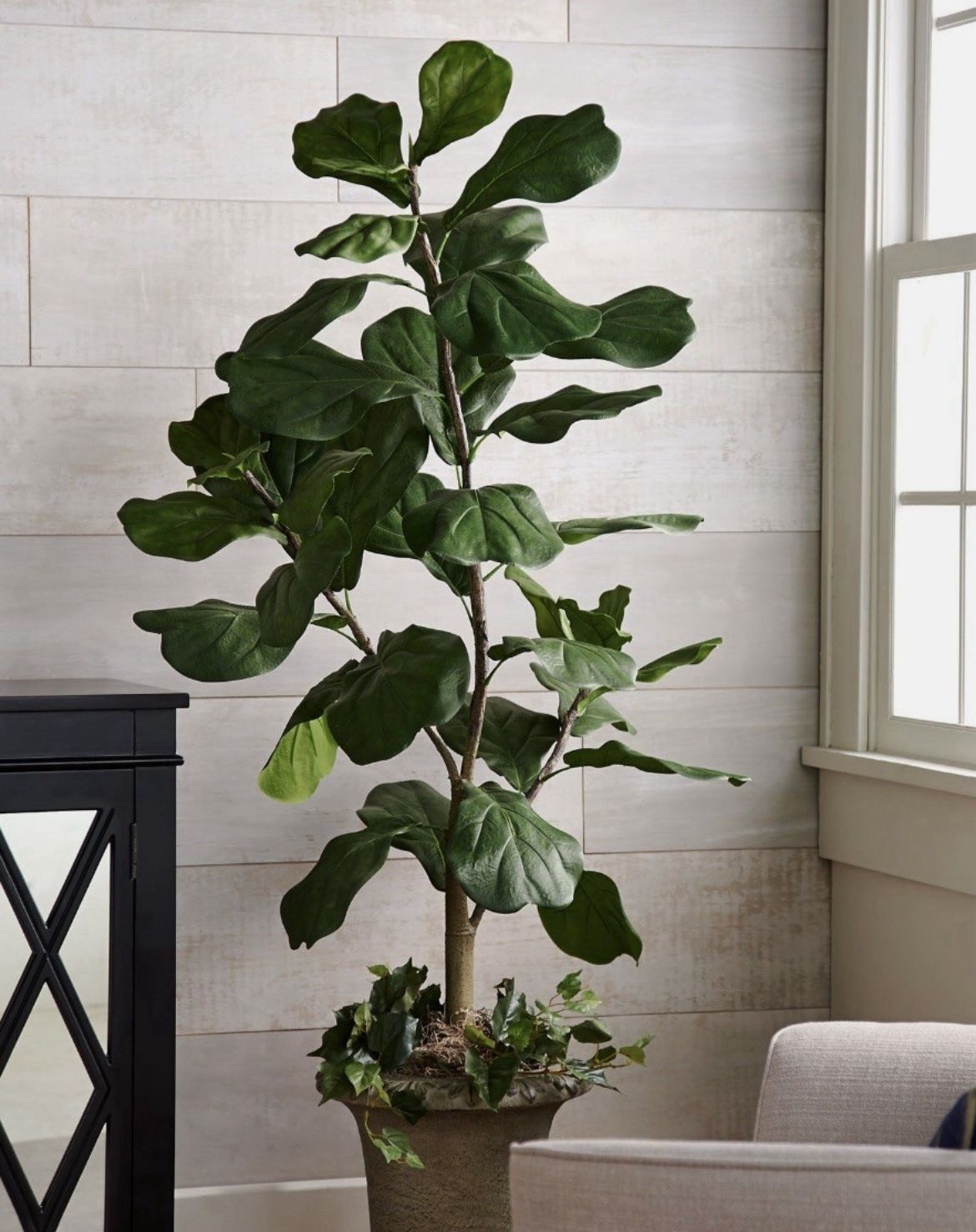 5' Faux Artificial Fiddle Leaf Tree in Starter Pot