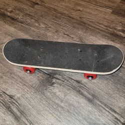 New Small Kid's Skateboard 