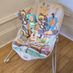 Baby Bouncer 