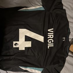 Van Dijk Liverpool Jersey