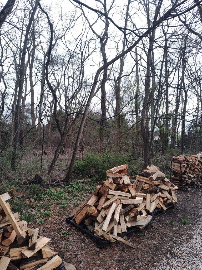 Firewood
