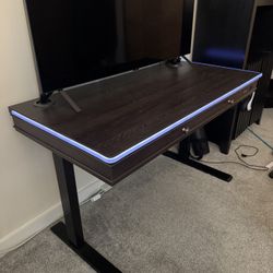 Standing Desk 48x24