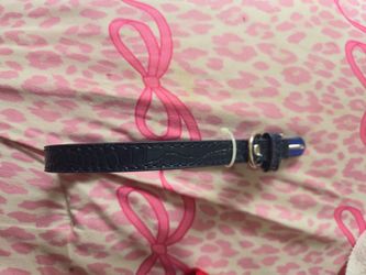 Blue Leash