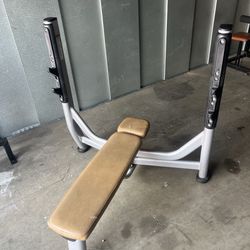 Torque fitness flat bench press rack
