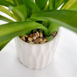 FAKE PLANT WITH CERAMIC BASE AND STONES