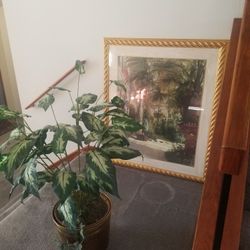 Vintage Picture, And Floor Plant