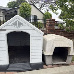 Dog Houses