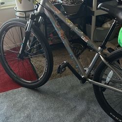 Free agent Mountain Bike