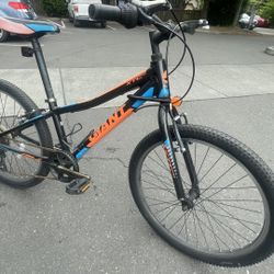 Giant Bike