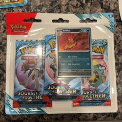 Pokémon journey together