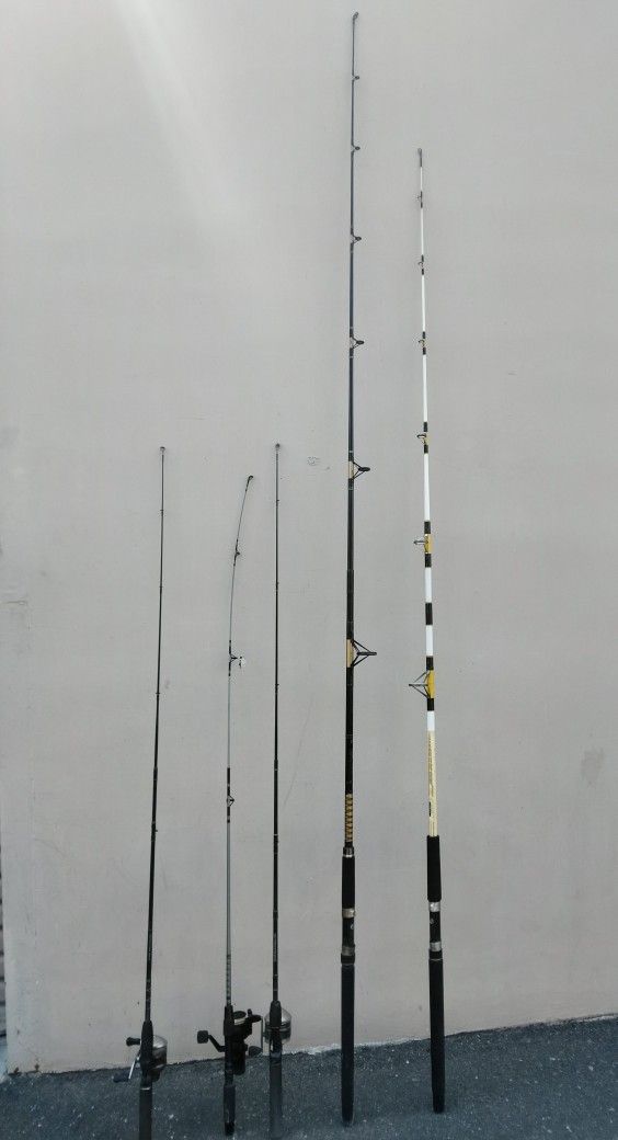 Fishing Rod
