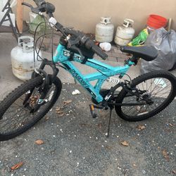 Blue Bike