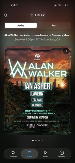 Alan Walker Ticket