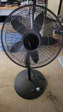 FREE Fan